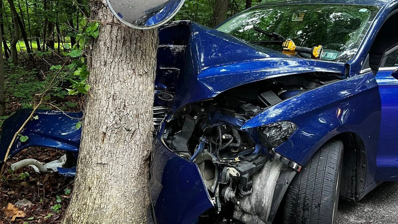 Road closes after vehicle crashes into tree in York County