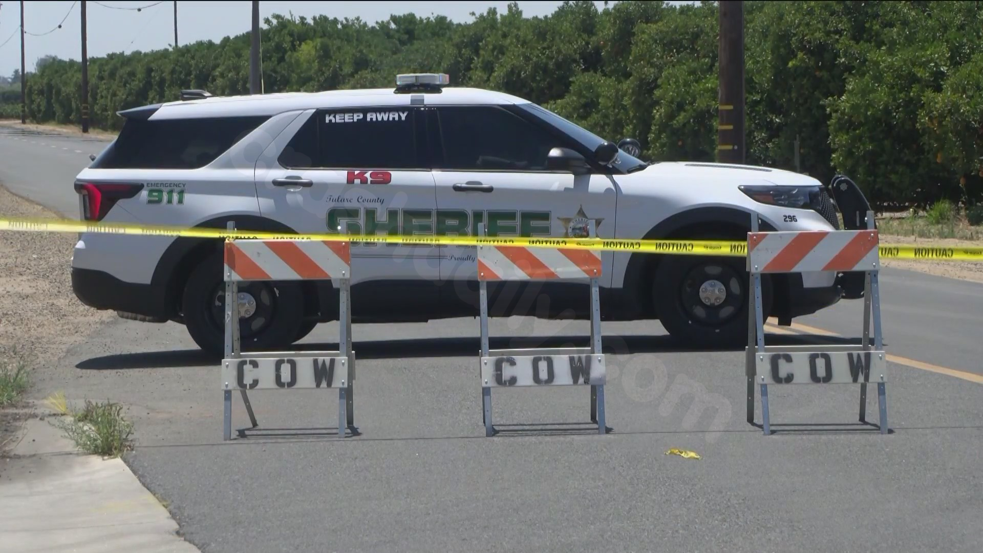 ‘Kind of brutal’: Witnesses describe airplane crash near Woodlake Airport