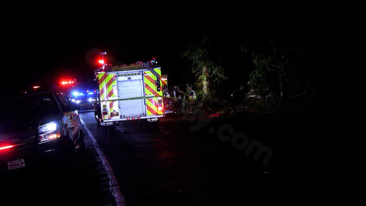 Late-night Upstate crash kills 16-year-old, injures 2 others