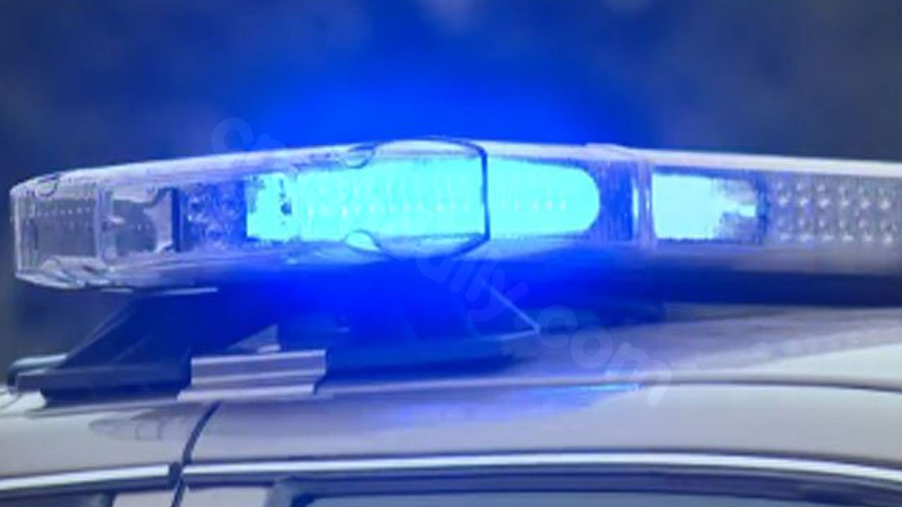 Berkeley County woman killed by airborne umbrella at Lake Marion restaurant