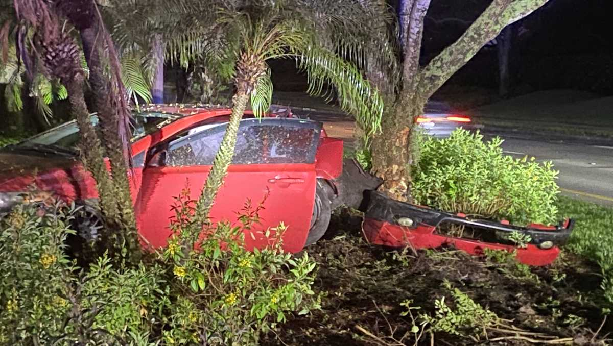 Car crashes into tree on Three Oaks Parkway in Estero