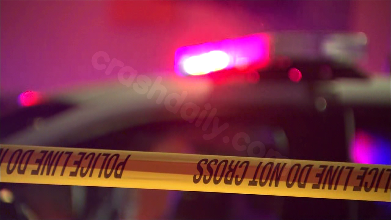 47-year-old dies after car crashes into a tree in Geneva: police