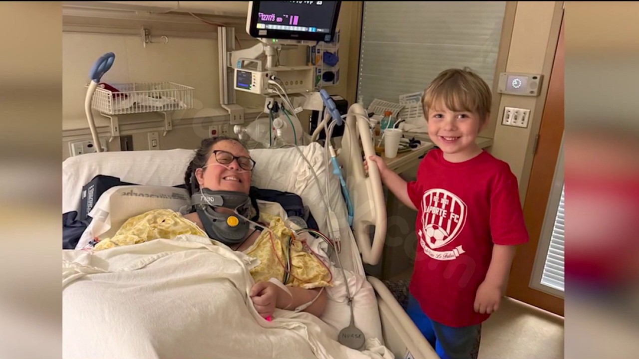 Indiana woman paralyzed after tree falls on car: 'Such a freak accident'