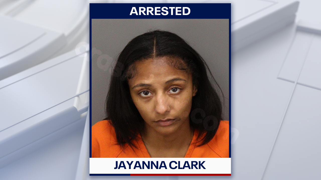 Woman faces vehicular homicide, child neglect charges in Oldsmar crash that killed 6-year-old: PCSO