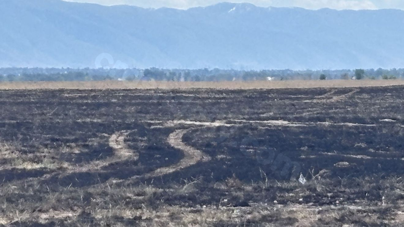 Remote-controlled aircraft in question after model jet causes 'freak accident' wildfire