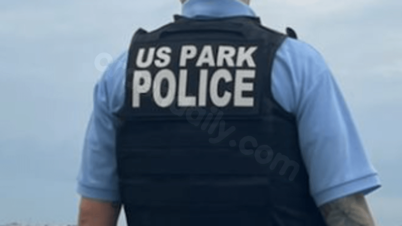 Secret Service detains fleeing driver after deadly crash near White House