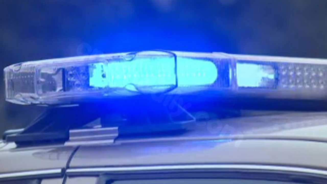 One dead in Orangeburg County crash on US 601