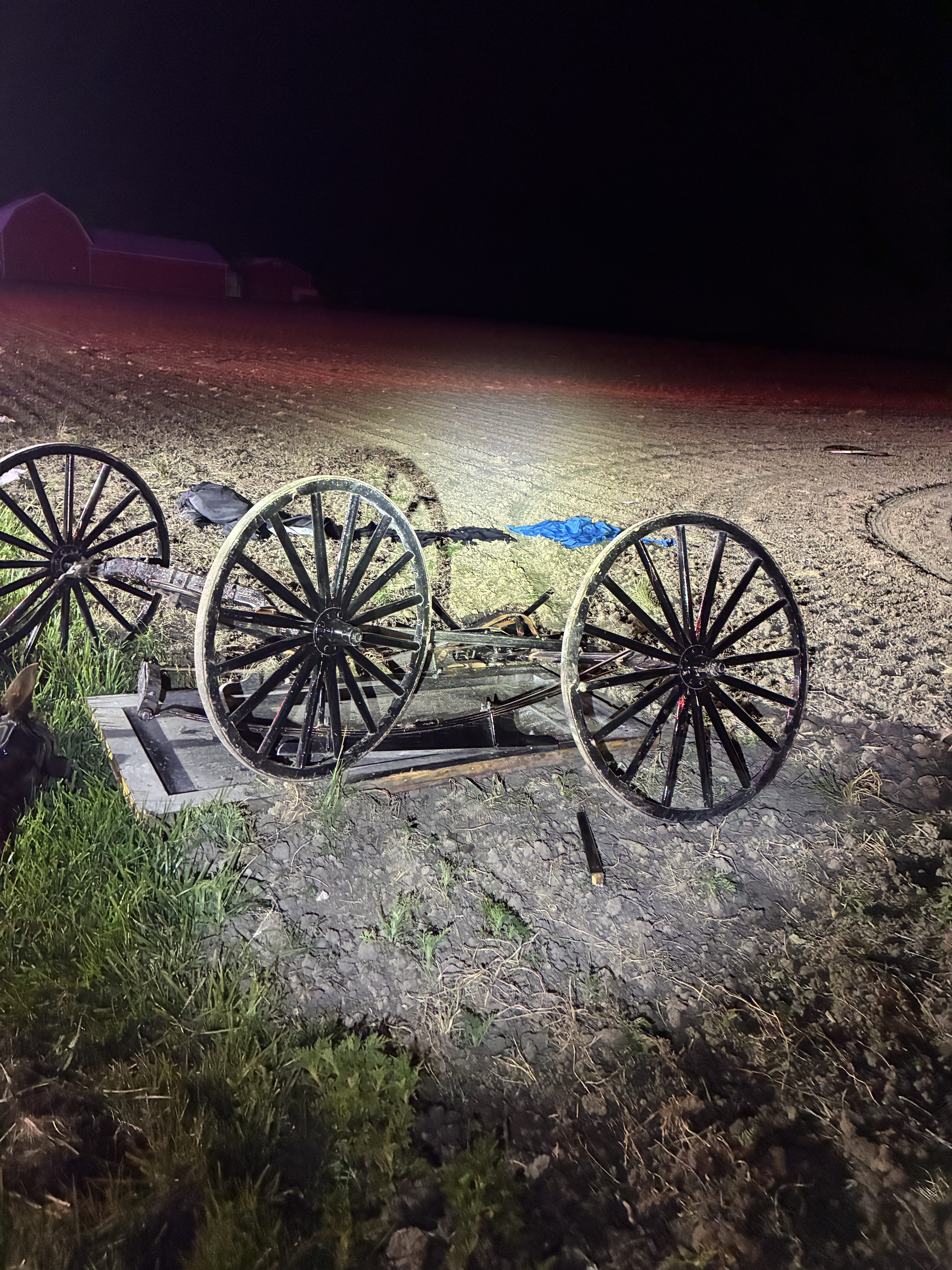 Teen dead after Friday morning buggy crash in Adams County