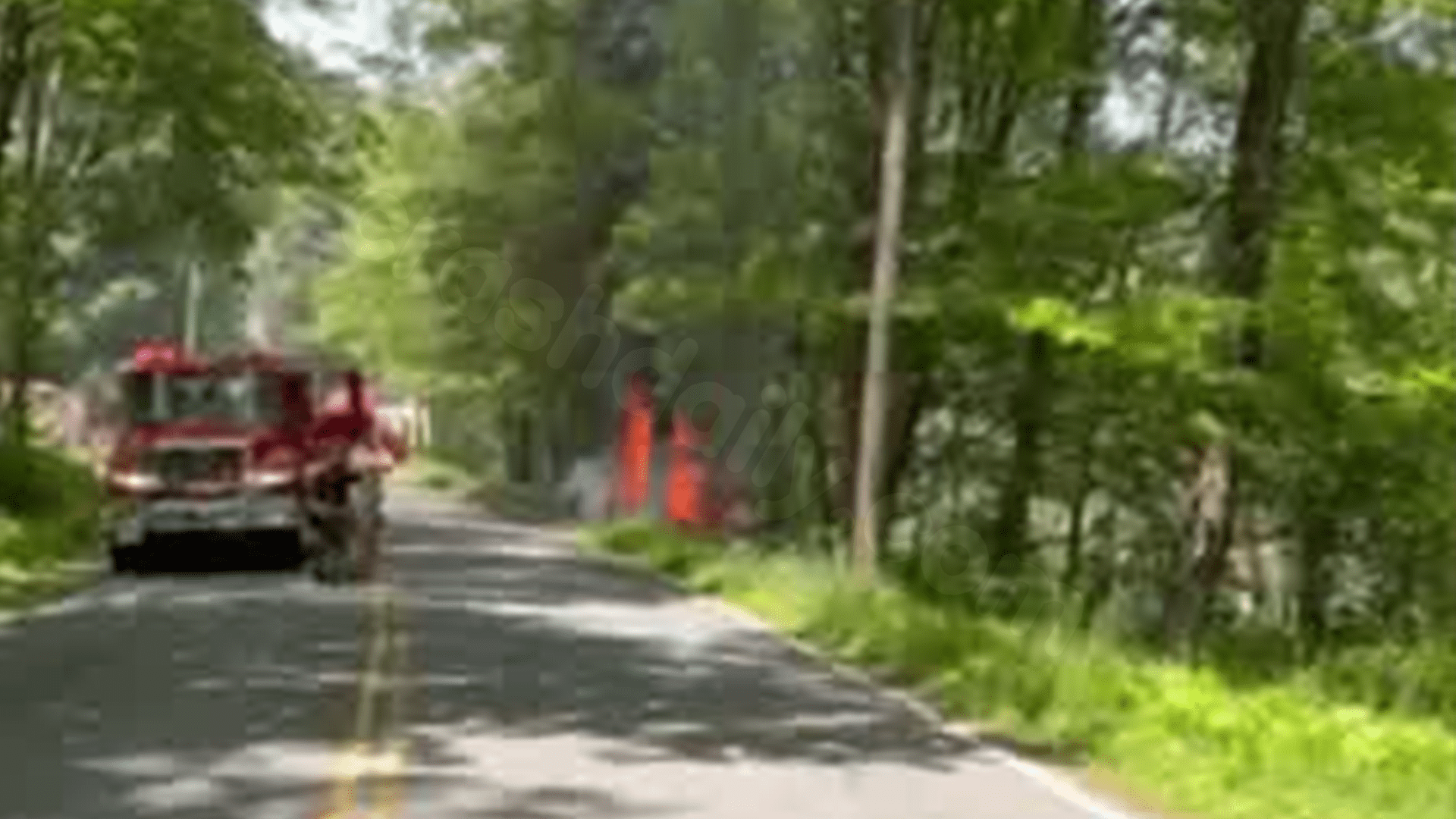 Driver identified in deadly Northfield single-vehicle crash