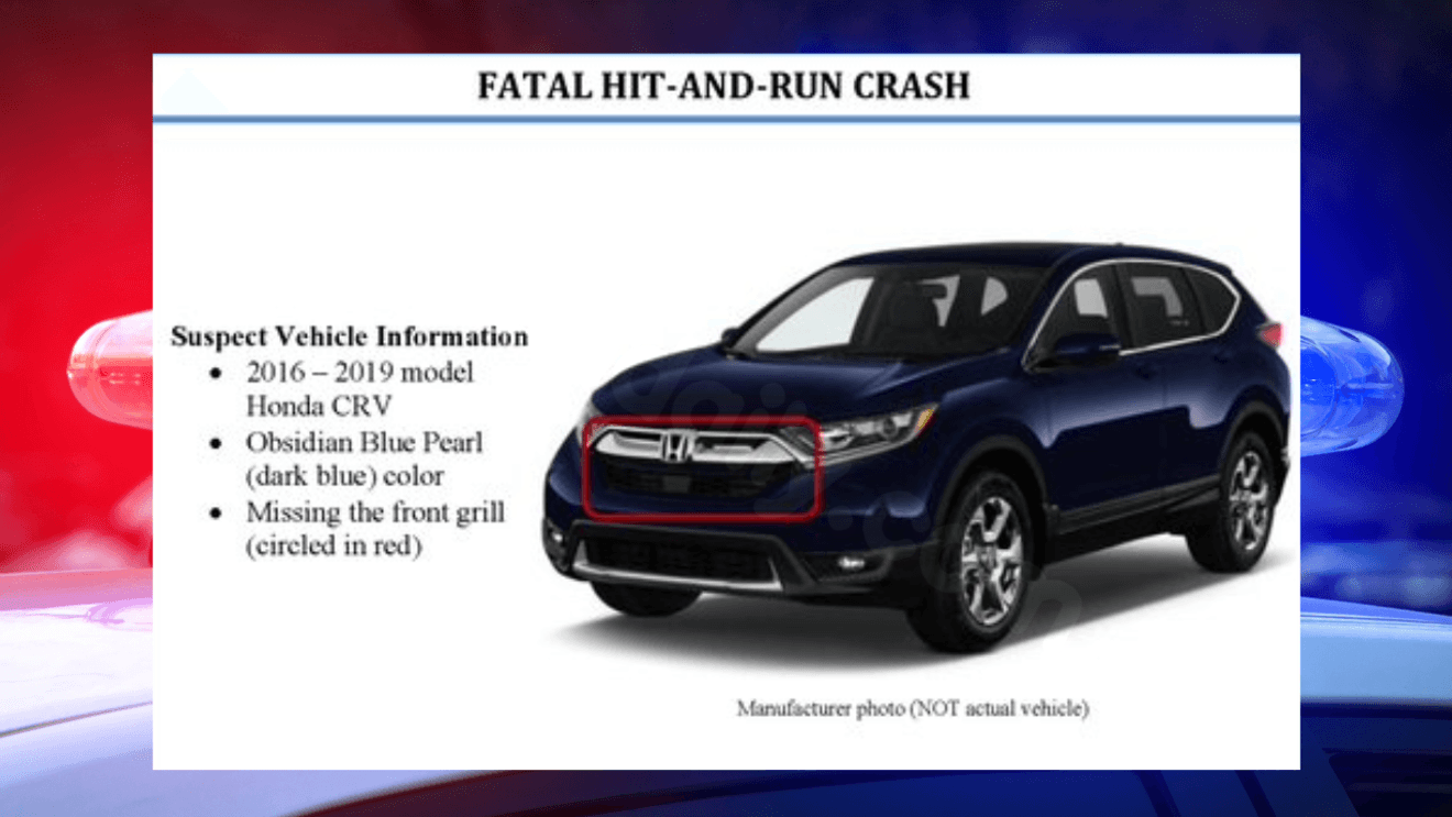 DRIVER WANTED: Woman killed in Arlington hit-and-run