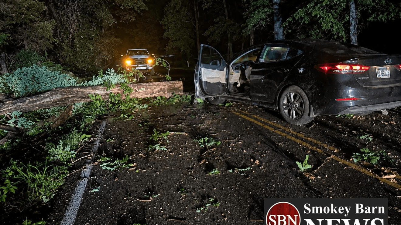 Car crashes into tree in Robertson County resulting in injury