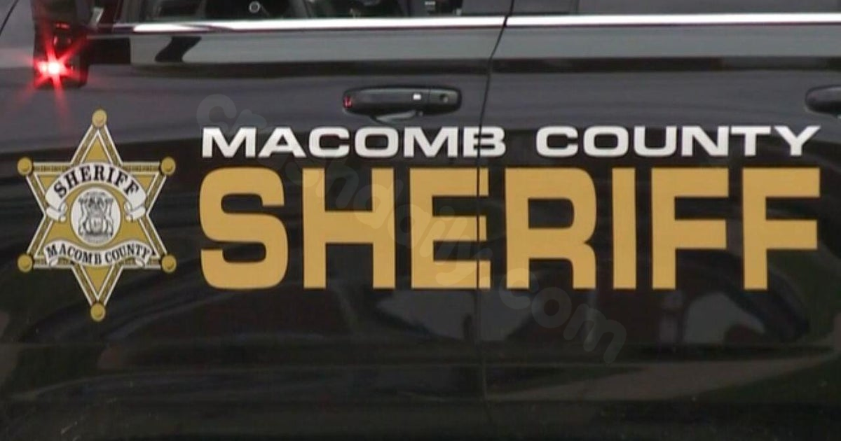 1 dead, 2 hospitalized after car fire and crash in Macomb Township, sheriff's office says