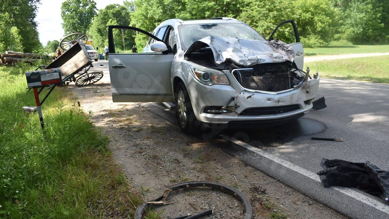 11-year-old boy seriously injured, horse killed after car crashes into buggy