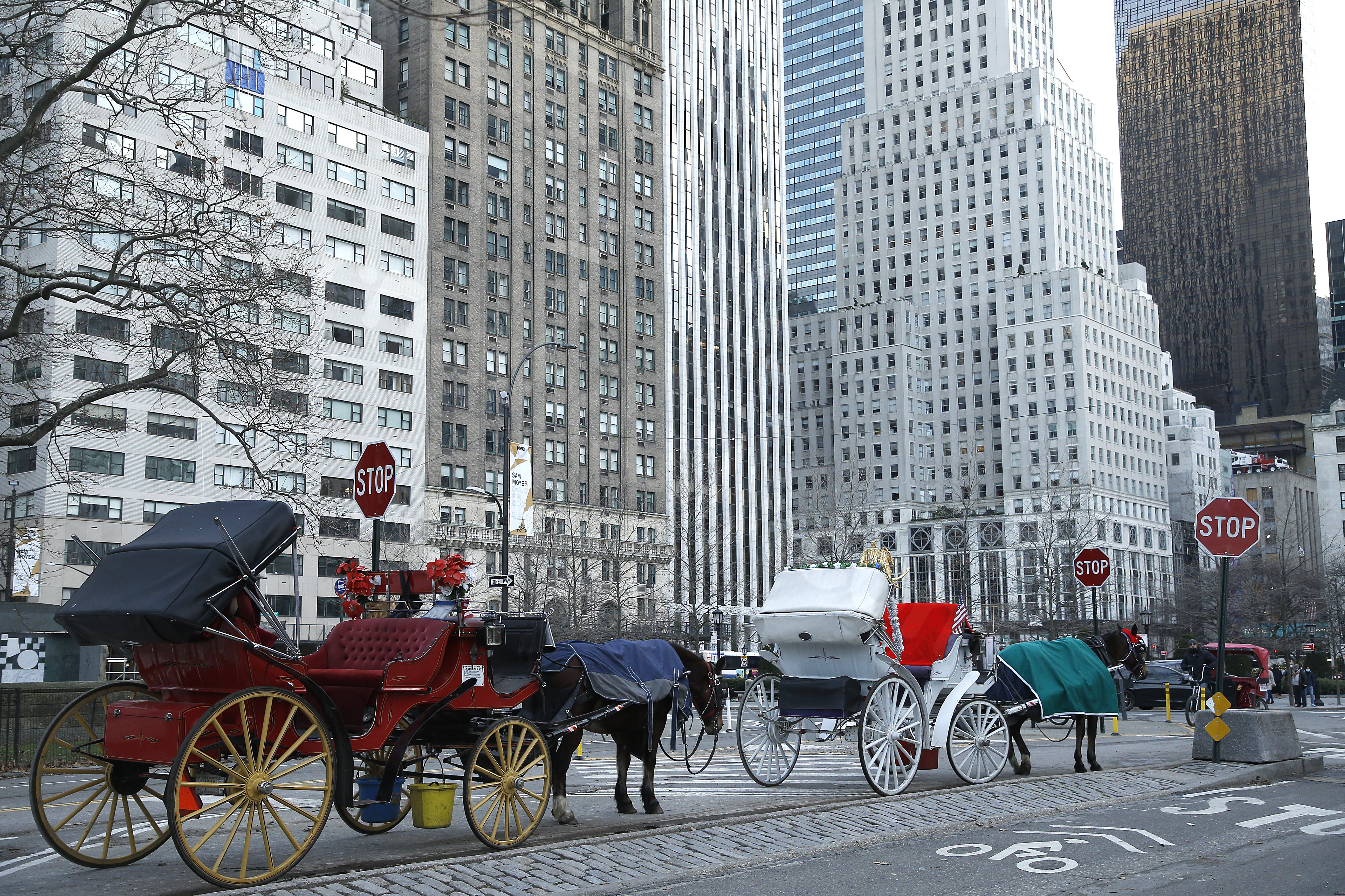 Fatal NYC carriage accident leads to driver’s suspension, horses retirement