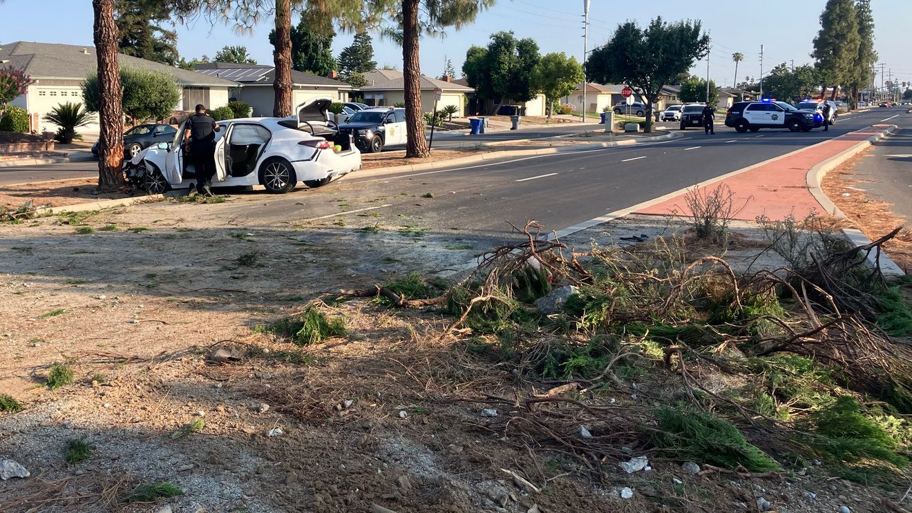 Major injuries after crash into tree