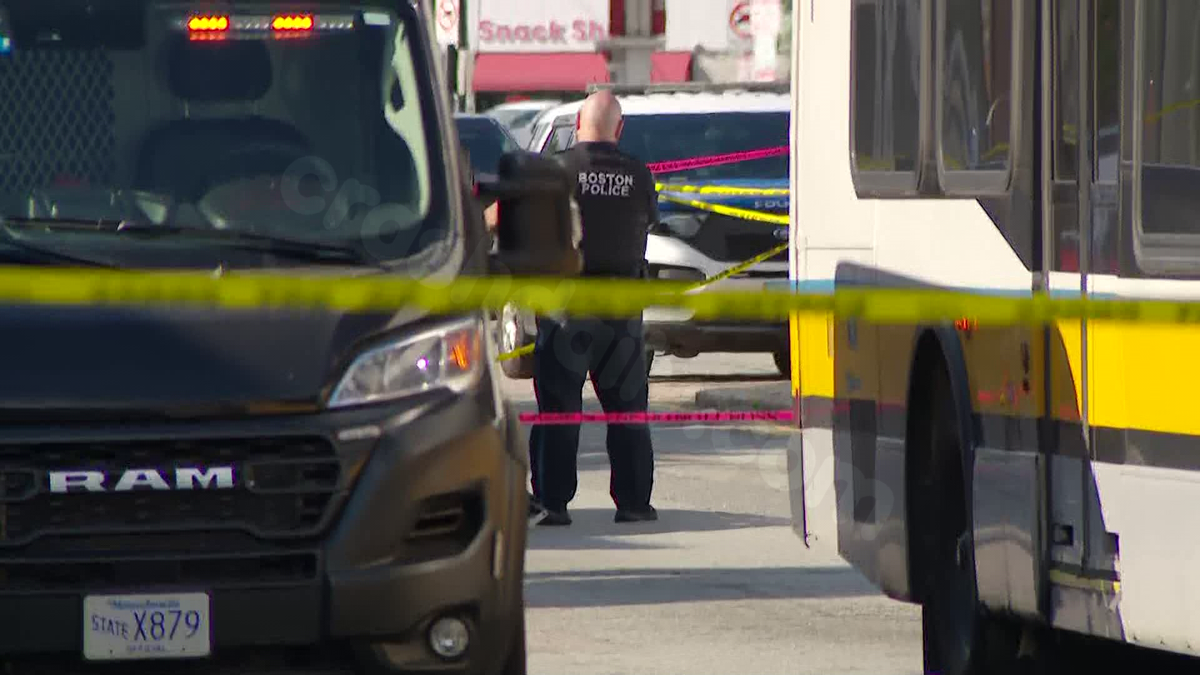 Woman killed in crash after carjacking in Mattapan, police say