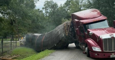 Millions of bees get loose after truck carrying 400 hives crashes in Texas: "Please remain indoors"