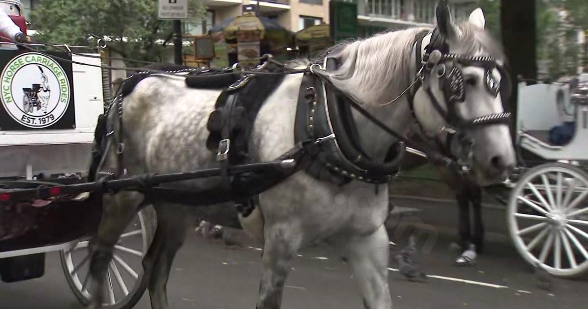 Central Park horse carriage rides resume a week after tourist died in an accident