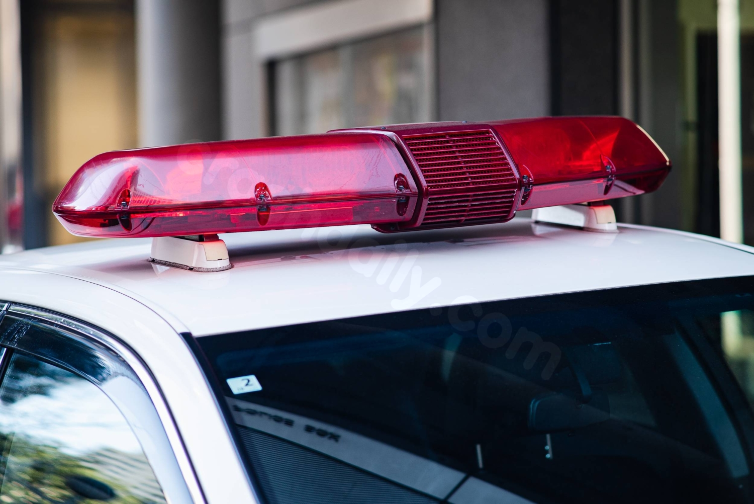 Suspected attacker dies in crash after Gunma woman stabbed to death