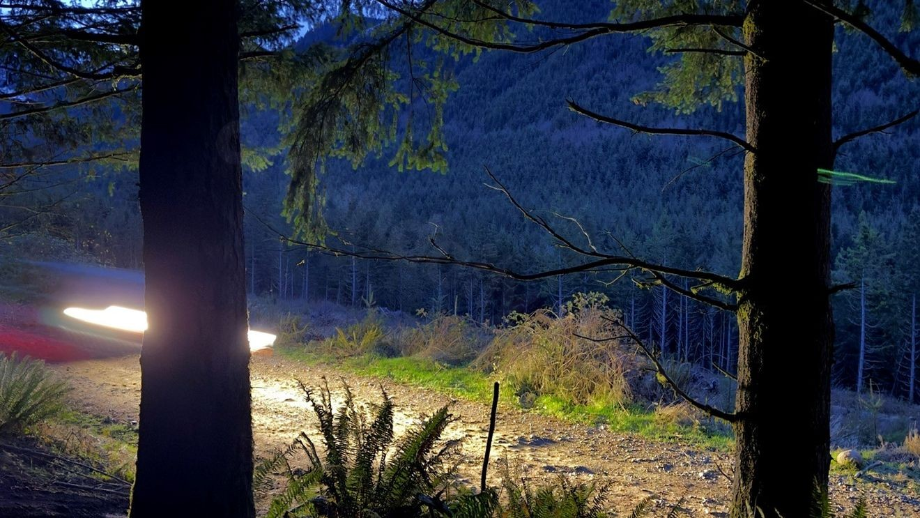 2 people stranded in mountains after vehicle in rollover crash falls 250 ft. down cliff