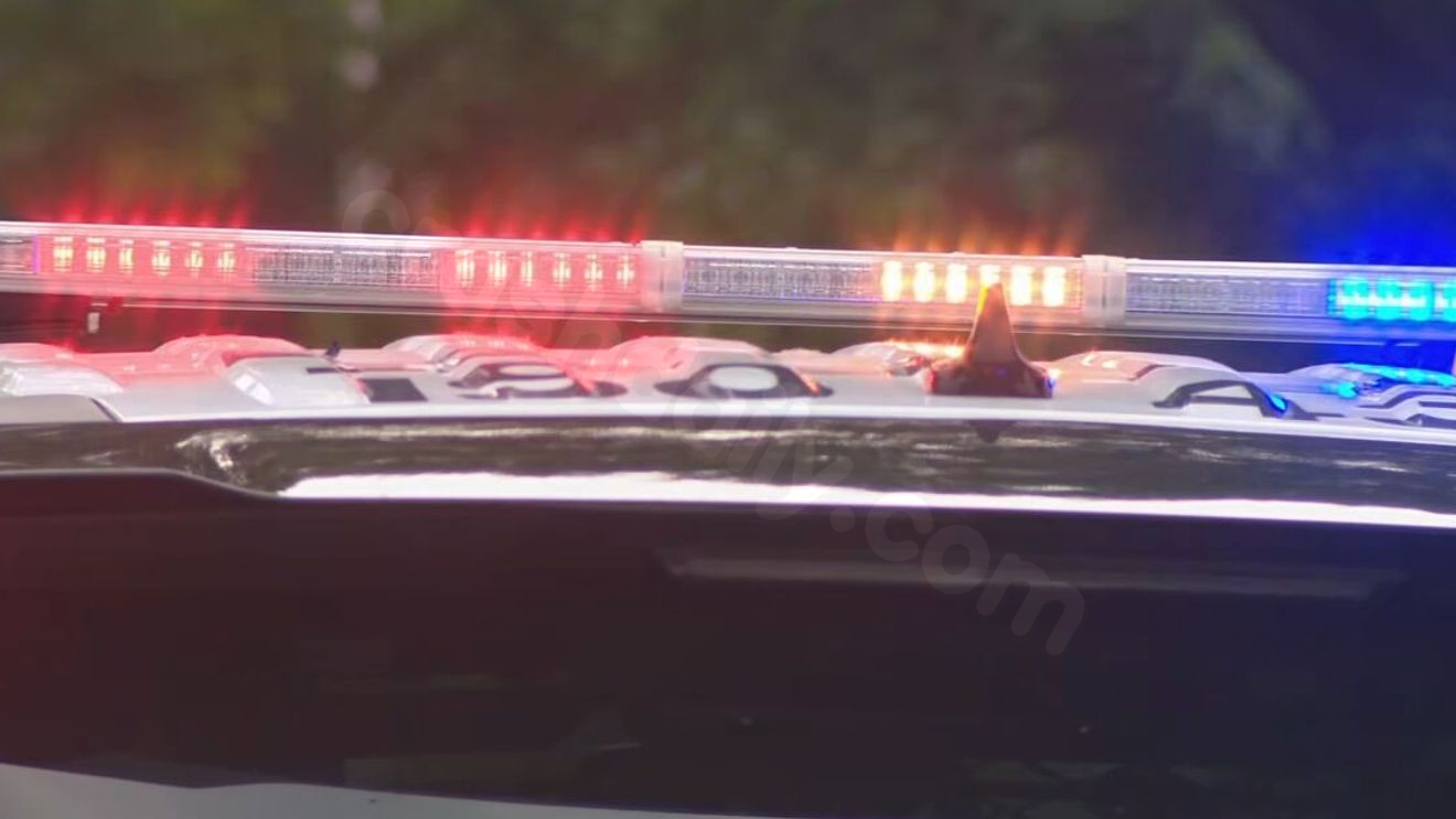 11-year-old and woman killed in traffic crash involving semi
