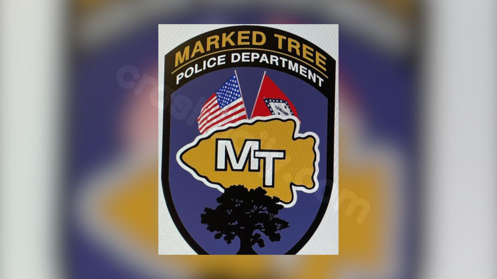 Marked Tree police officer killed in crash while on duty