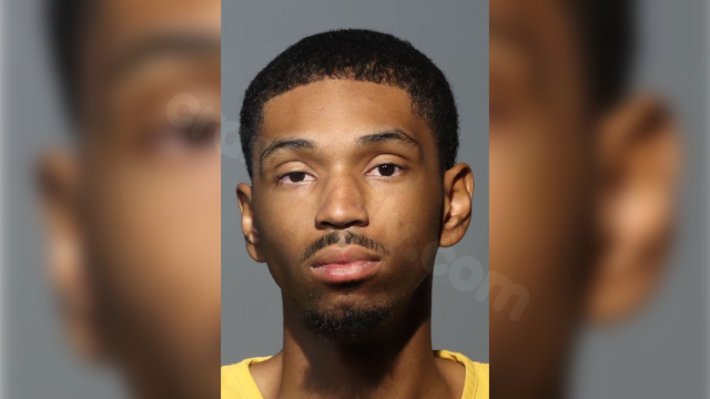 Man arrested in deadly Lake Mary hit-and-run, police say