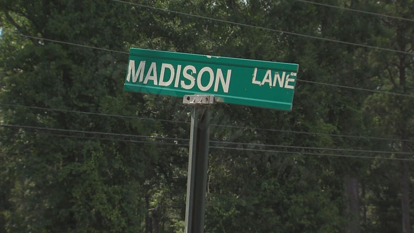 Man dies after tree falls during cutting accident at Forsyth home, per report