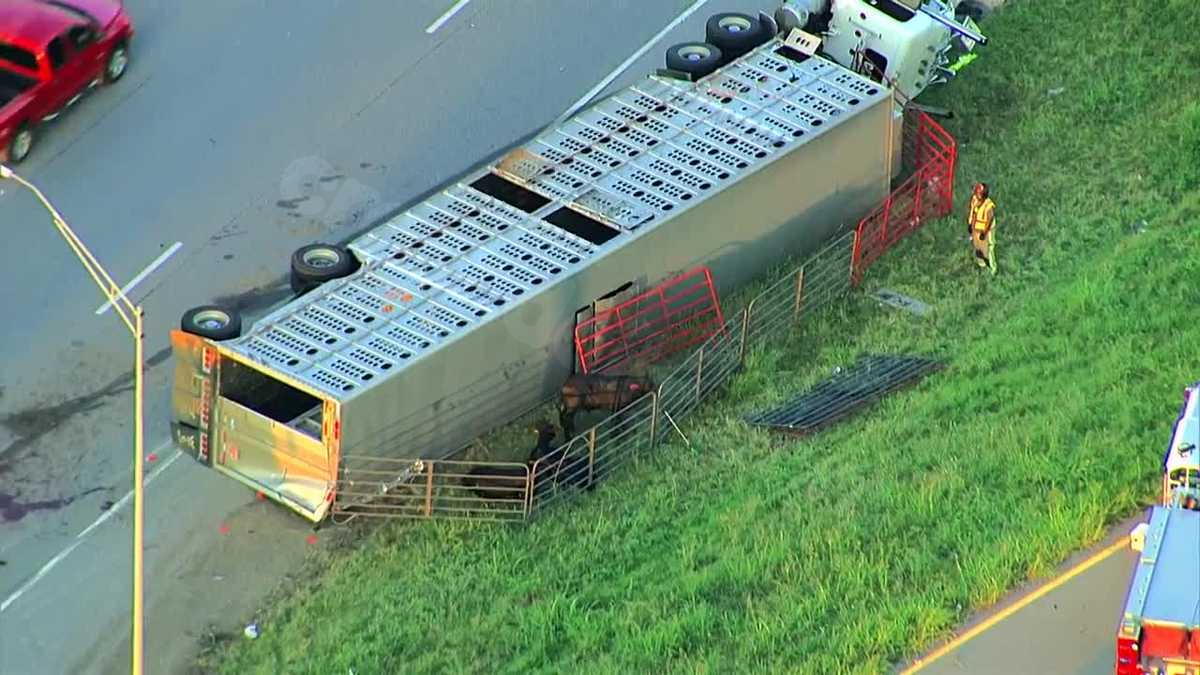 Multiple cattle dead after rollover crash on I-40 in Midwest City