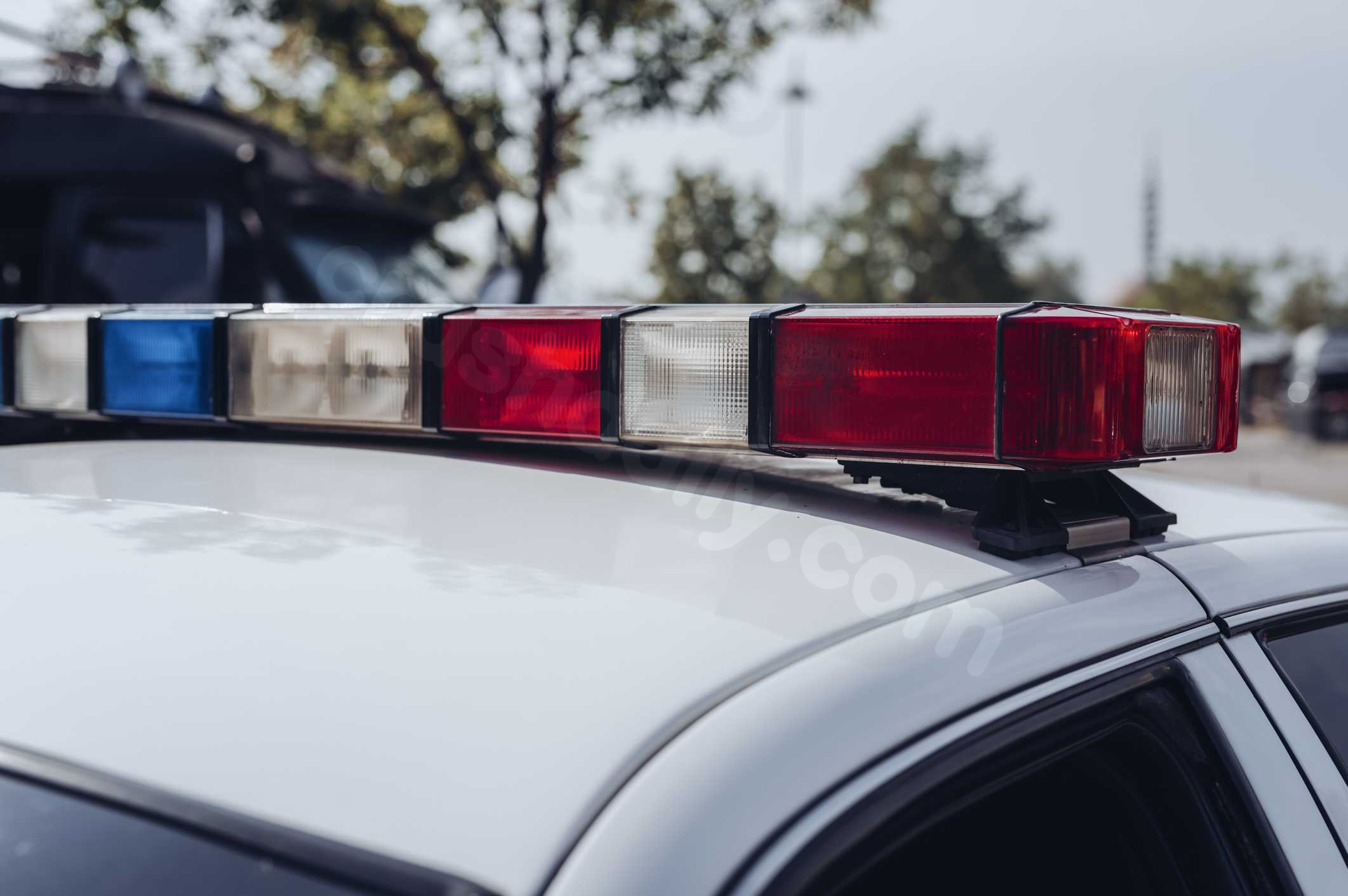 Small plane crash closes portion of Adirondack Rail Trail, DEC says