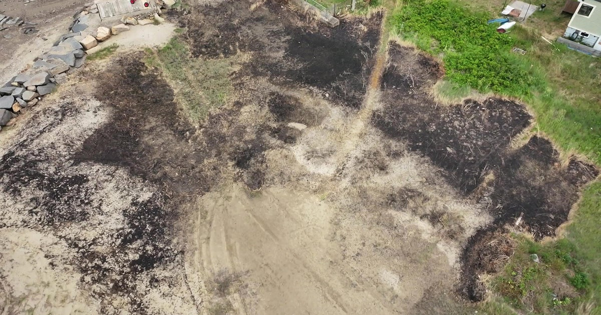 "Everything went up in flames": Quincy woman concerned about wildlife after fireworks accident on beach