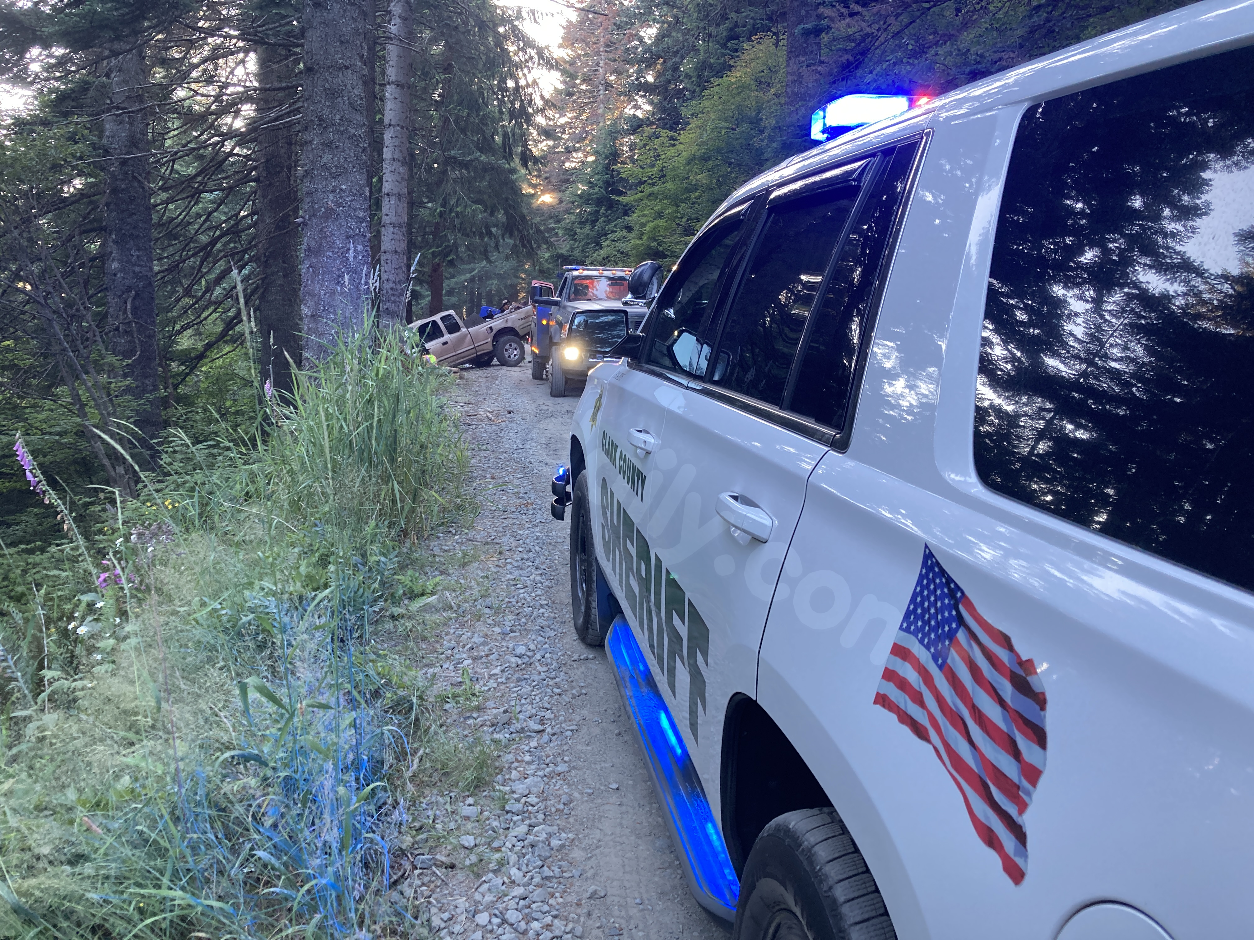 Driver dies after truck rolls down embankment in a Washington state forest