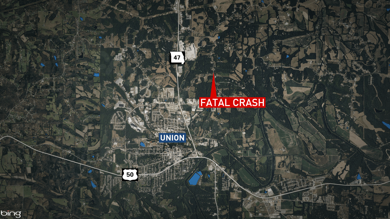 One from Union killed after vehicle crashes into tree