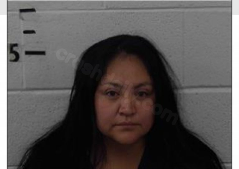 Woman pleads guilty to vehicular homicide in fatal crash