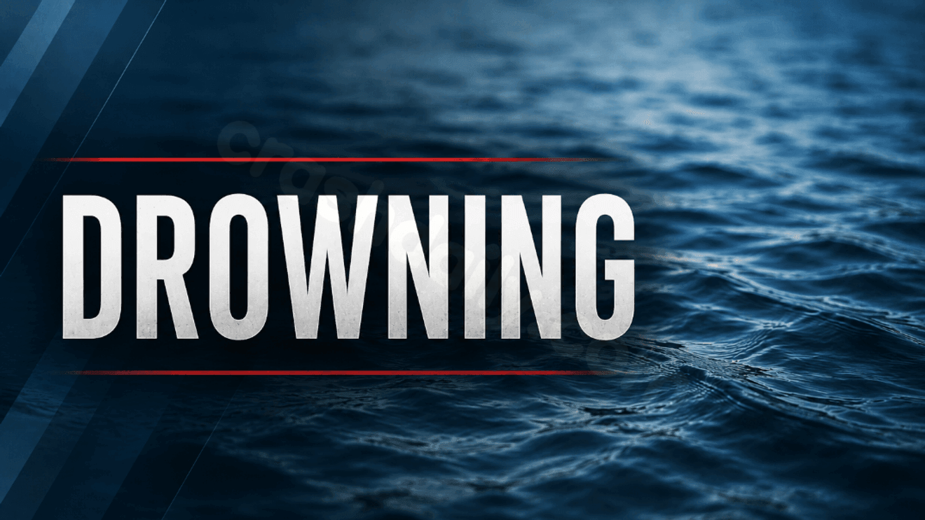 Coroner rules toddler's drowning in Hanover Township an accident