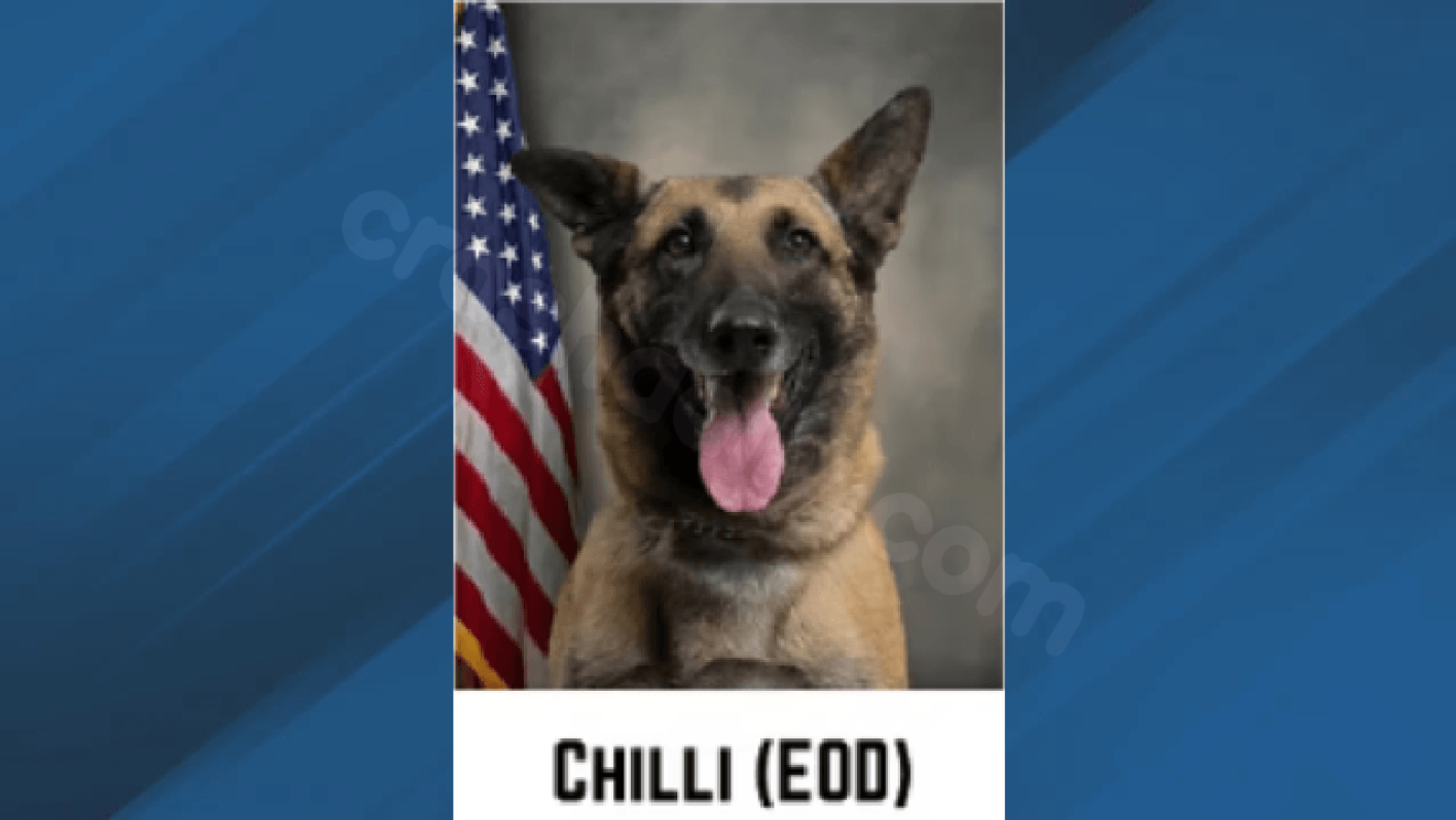 Pitt deputies call K-9's death in hot vehicle a tragic accident