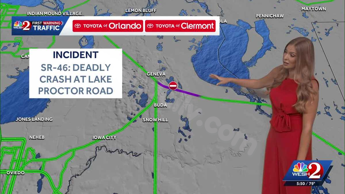 Vehicle hits tree, catches fire in deadly Seminole County crash
