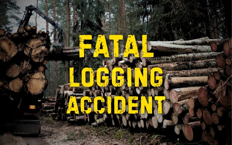 Child Killed in Logging Accident in Attala County - Kicks96news.com