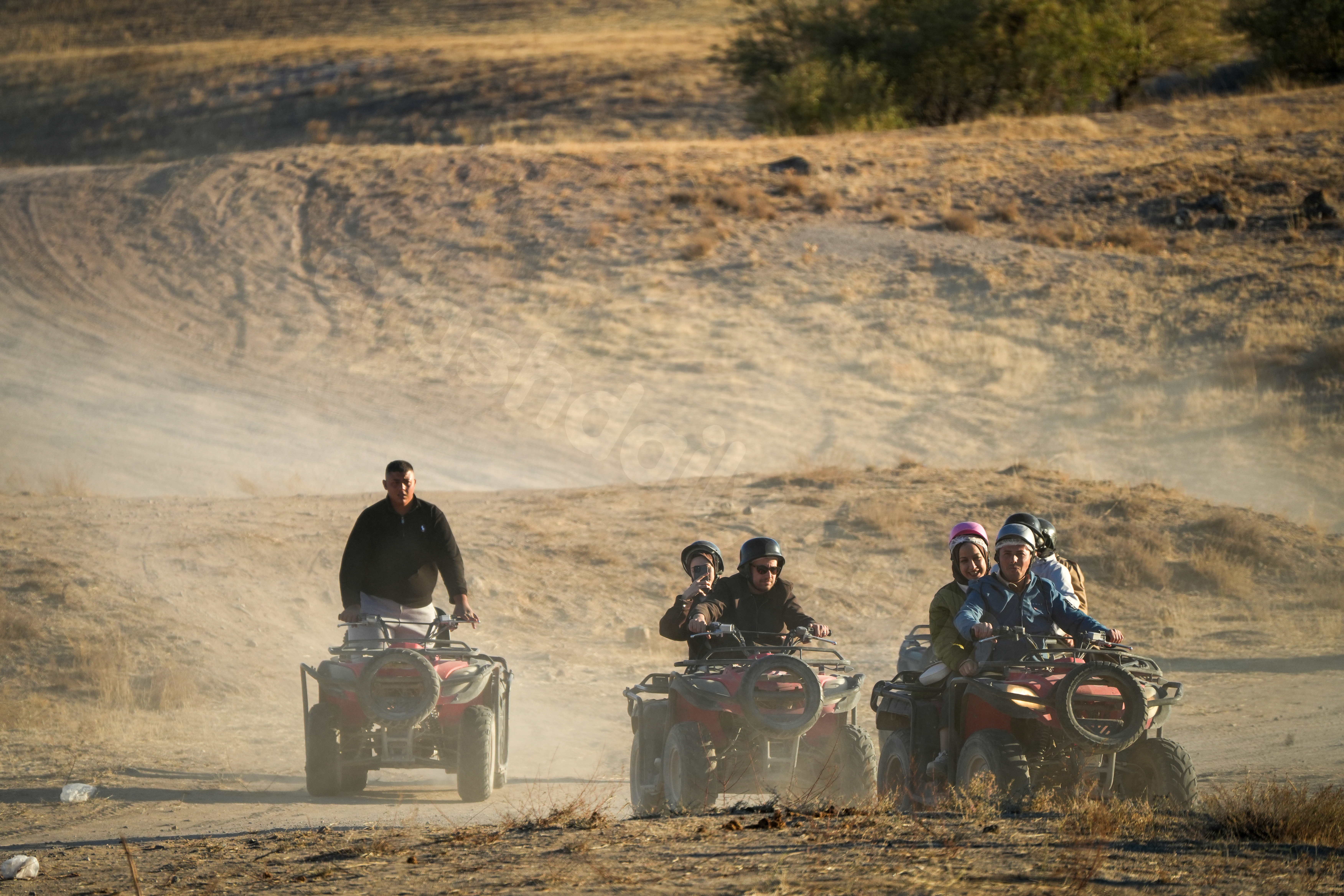 31-year-old dies after being struck by tree branch while riding ATV