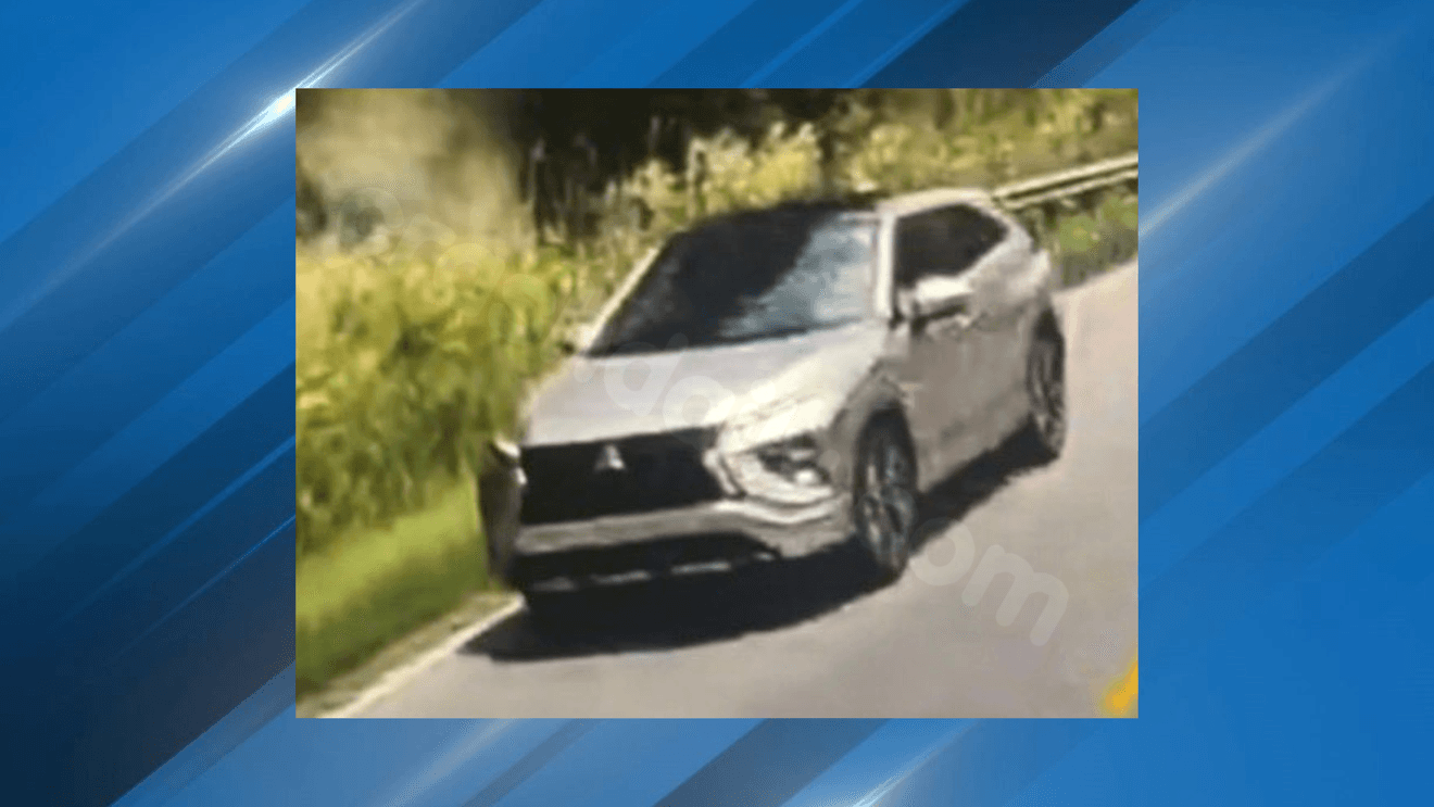 Troopers search for driver who may have witnessed fatal Williamsburg County crash