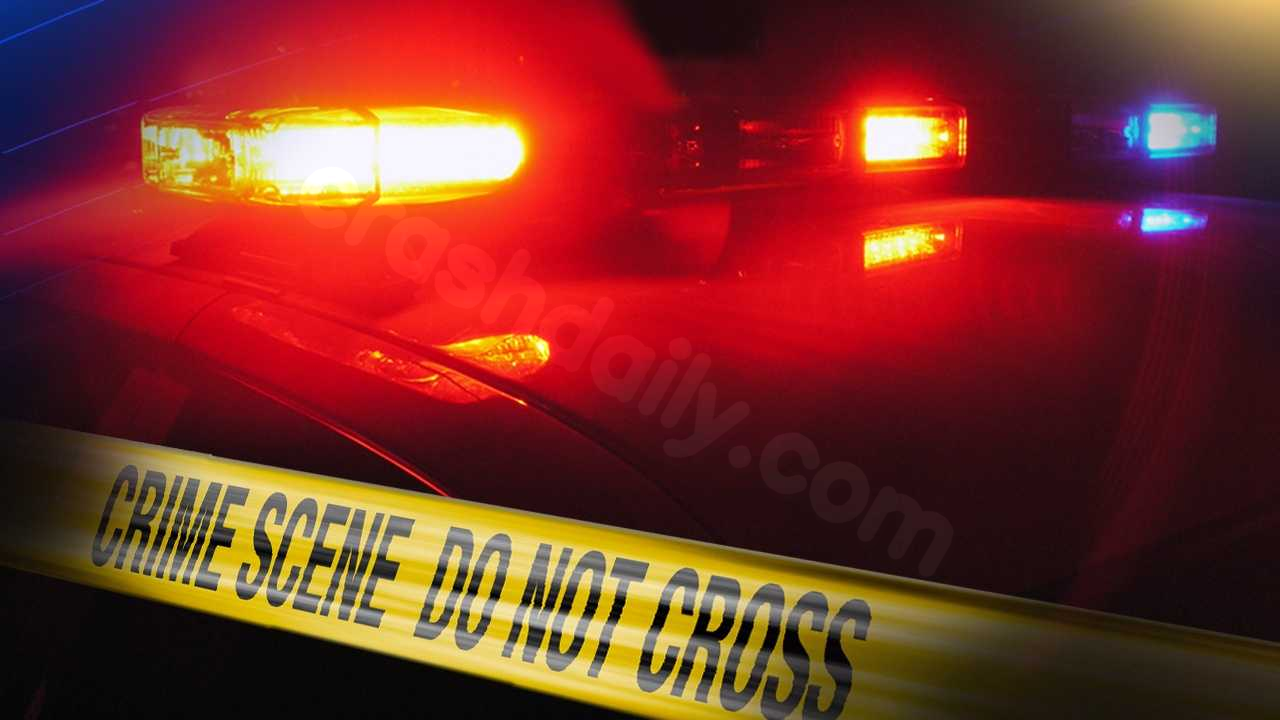 Gardner man identified as victim in fatal single-vehicle crash in Kansas City, Kansas