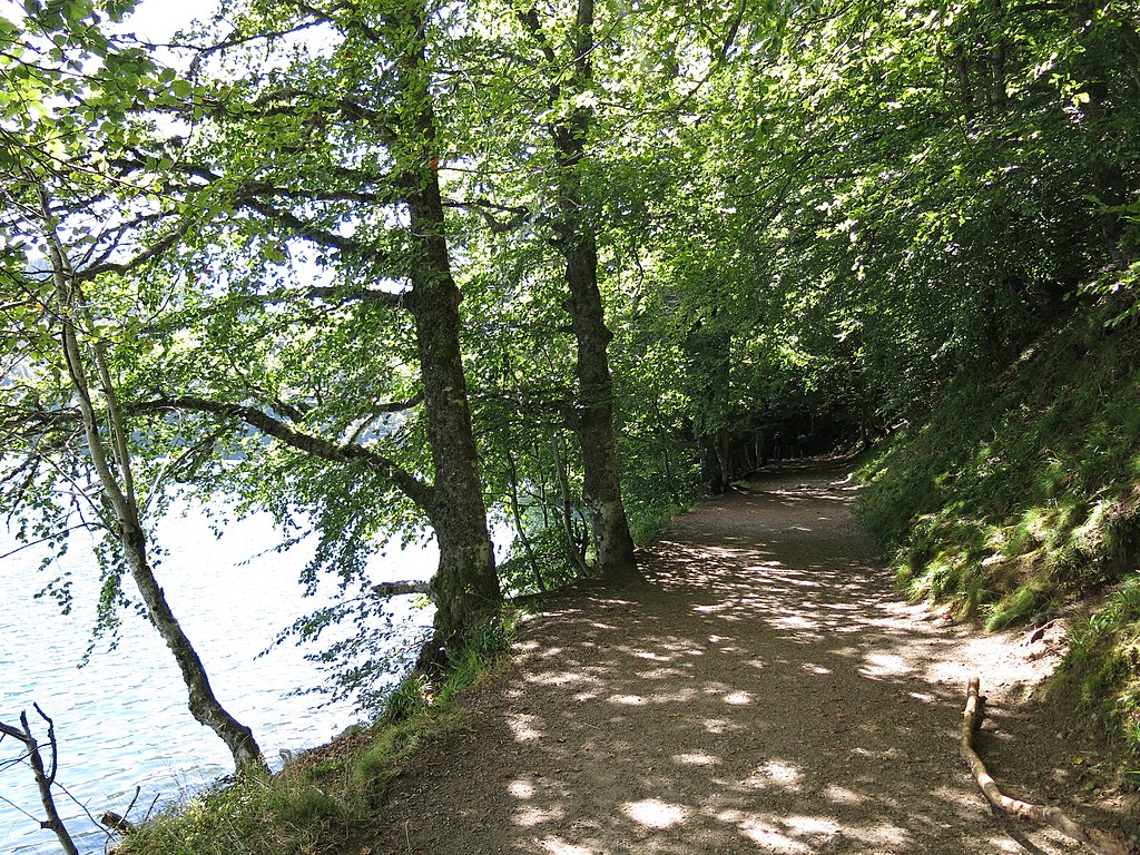 Path