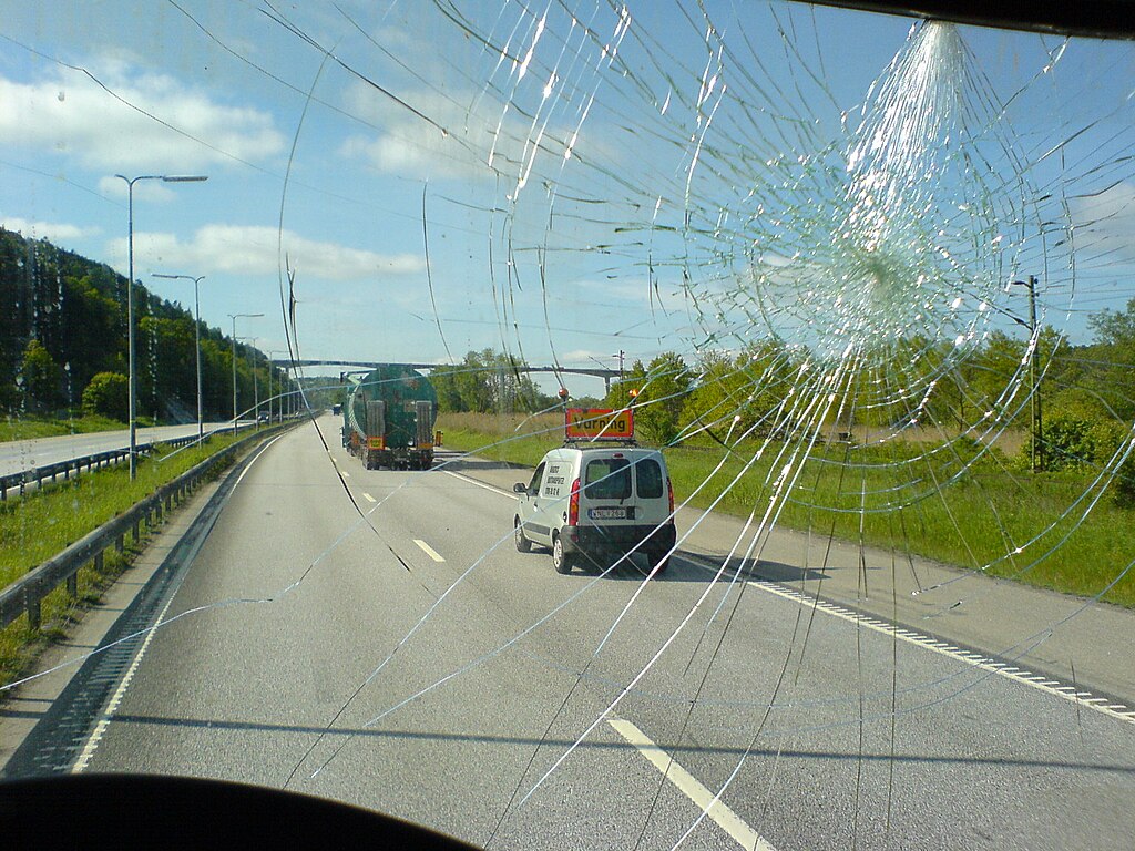 Windshield
